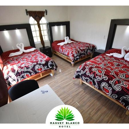 Hotel Maguey Blanco イスミキルパン エクステリア 写真