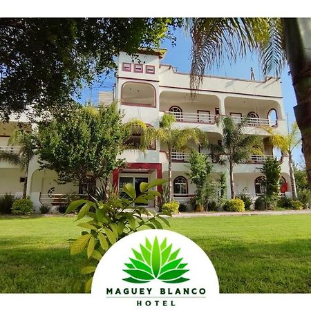 Hotel Maguey Blanco イスミキルパン エクステリア 写真