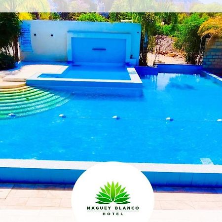Hotel Maguey Blanco イスミキルパン エクステリア 写真
