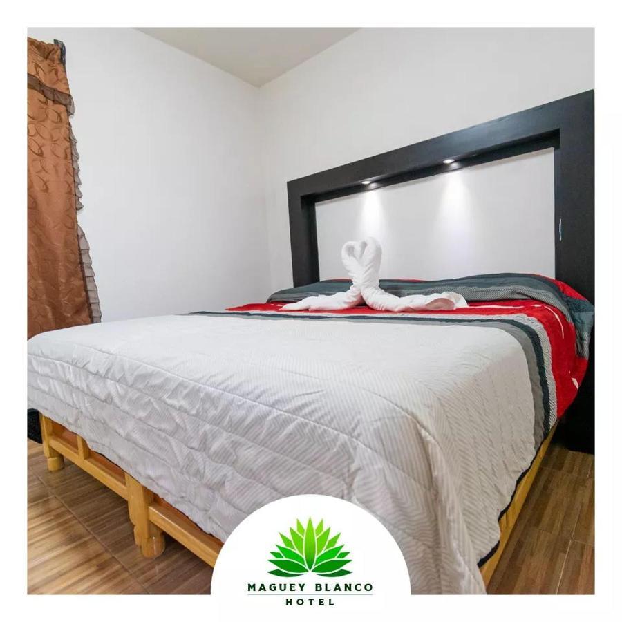 Hotel Maguey Blanco イスミキルパン エクステリア 写真