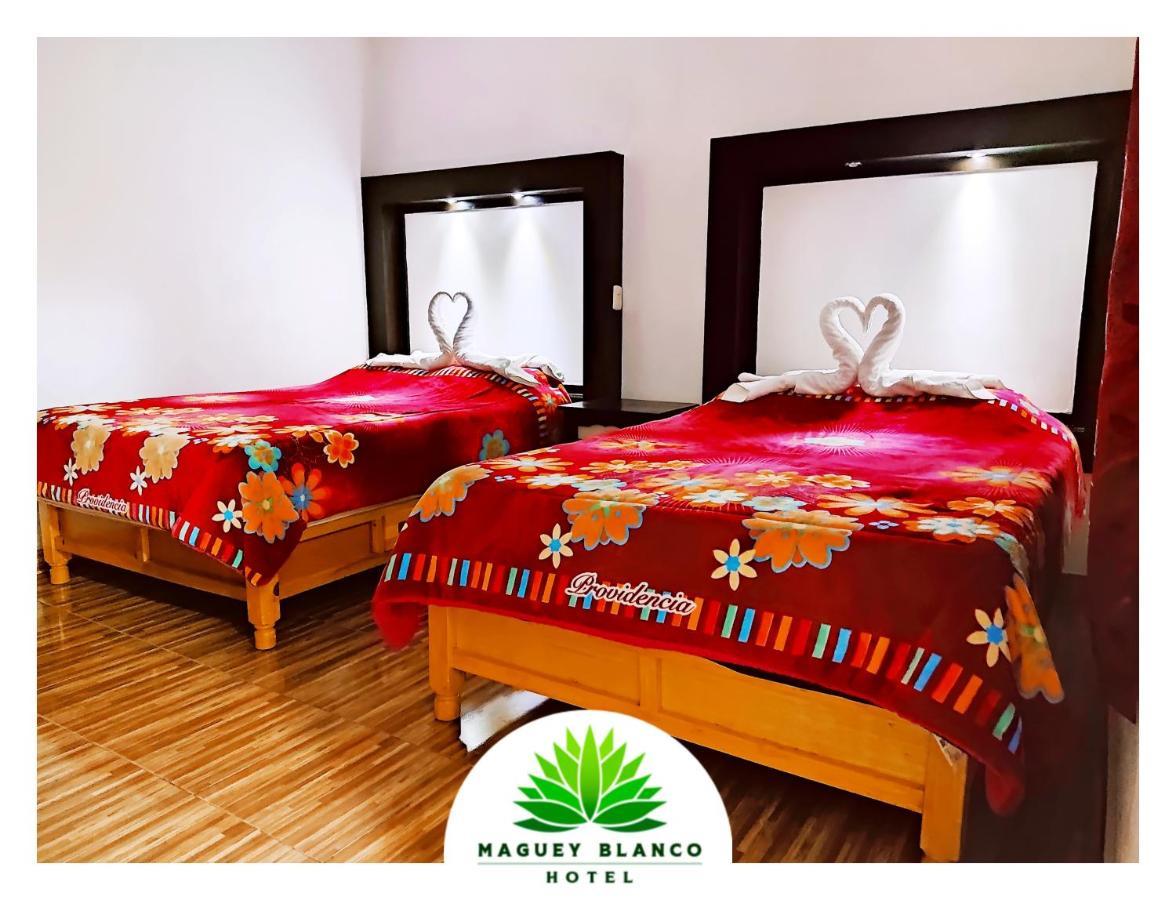Hotel Maguey Blanco イスミキルパン エクステリア 写真