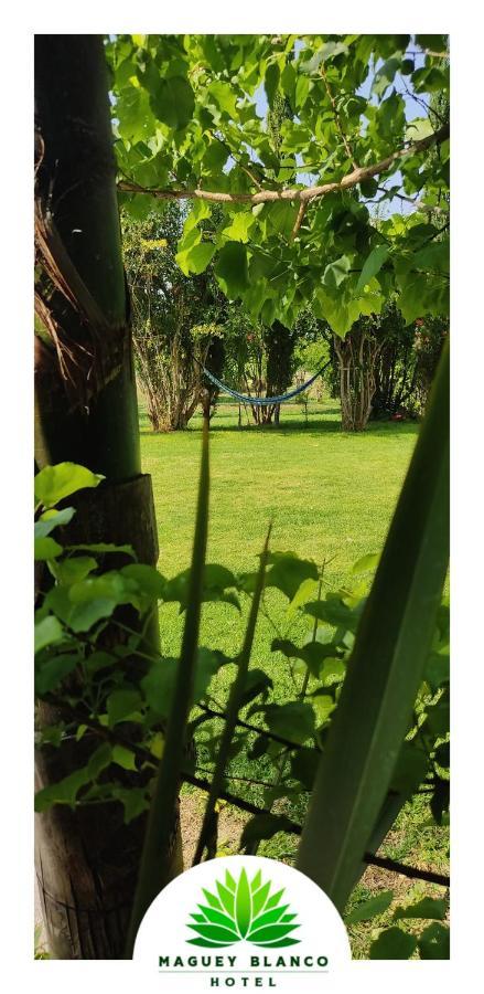 Hotel Maguey Blanco イスミキルパン エクステリア 写真