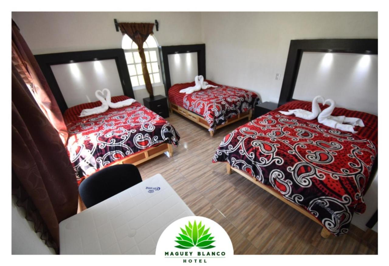 Hotel Maguey Blanco イスミキルパン エクステリア 写真