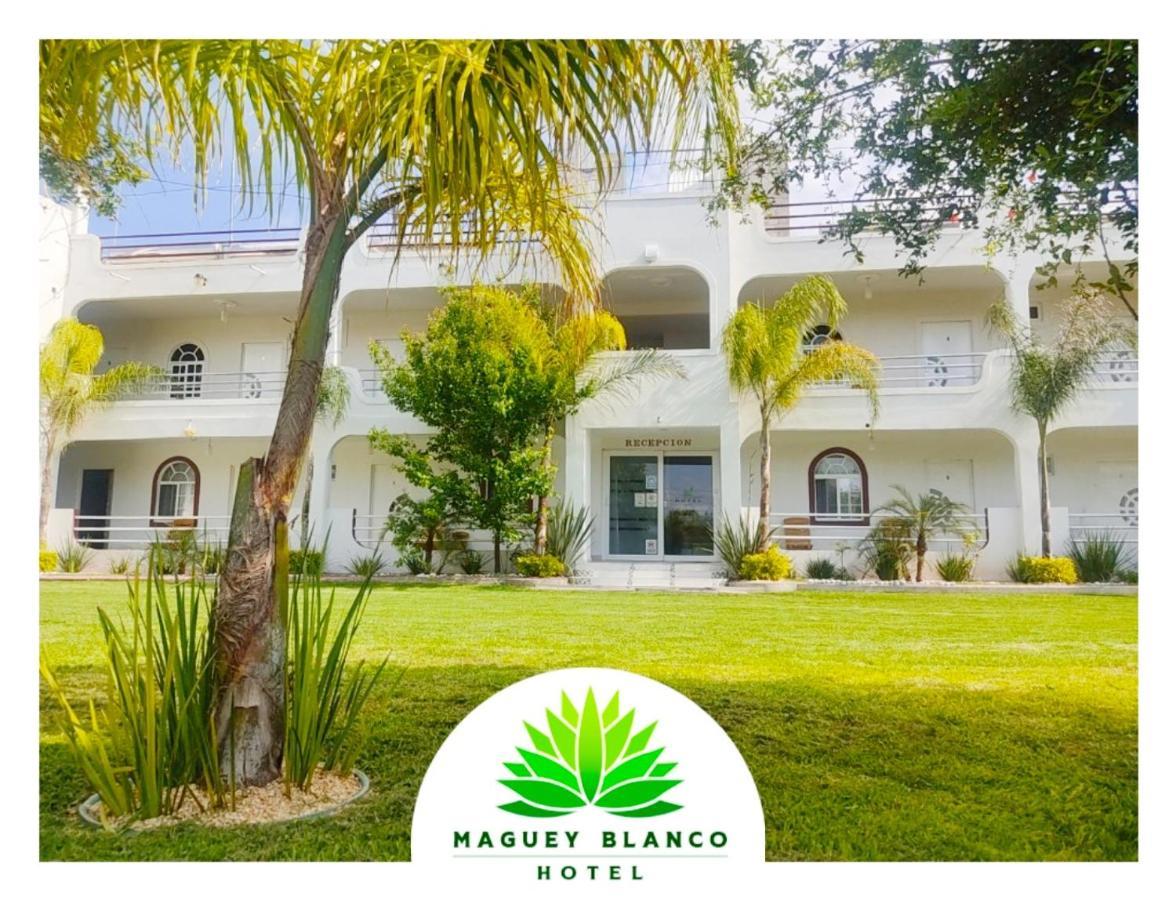 Hotel Maguey Blanco イスミキルパン エクステリア 写真