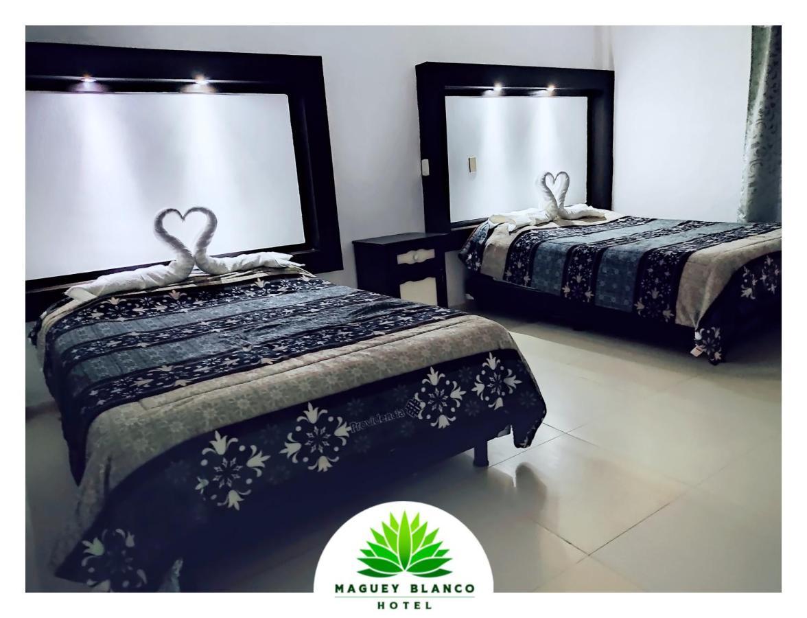 Hotel Maguey Blanco イスミキルパン エクステリア 写真