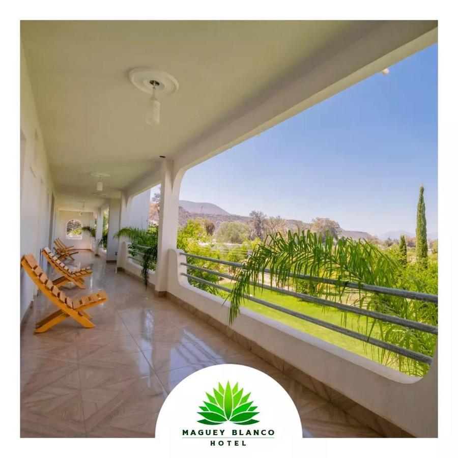 Hotel Maguey Blanco イスミキルパン エクステリア 写真
