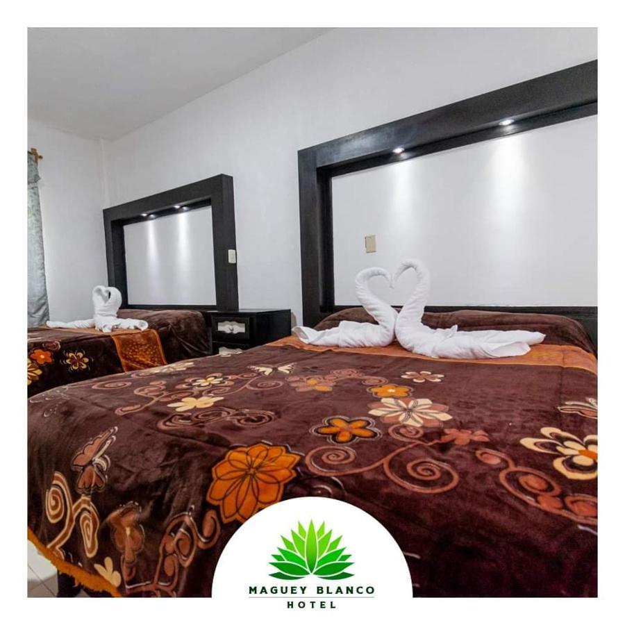 Hotel Maguey Blanco イスミキルパン エクステリア 写真