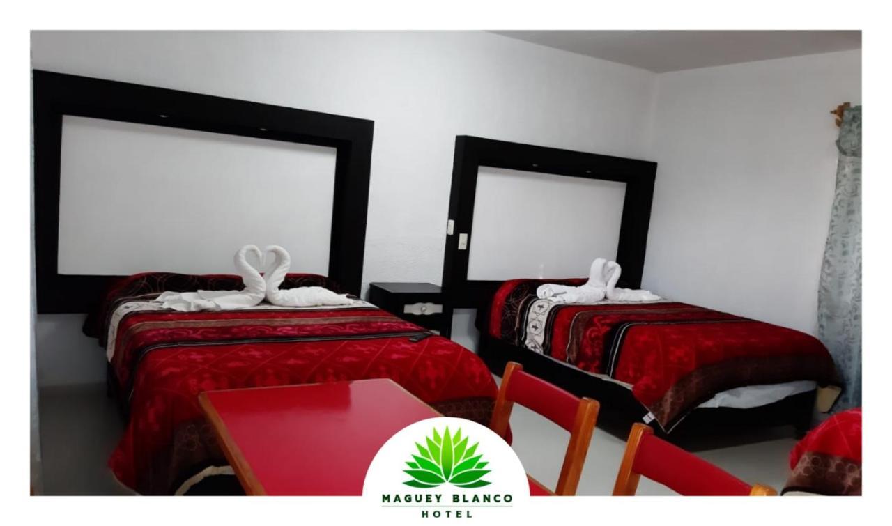 Hotel Maguey Blanco イスミキルパン エクステリア 写真