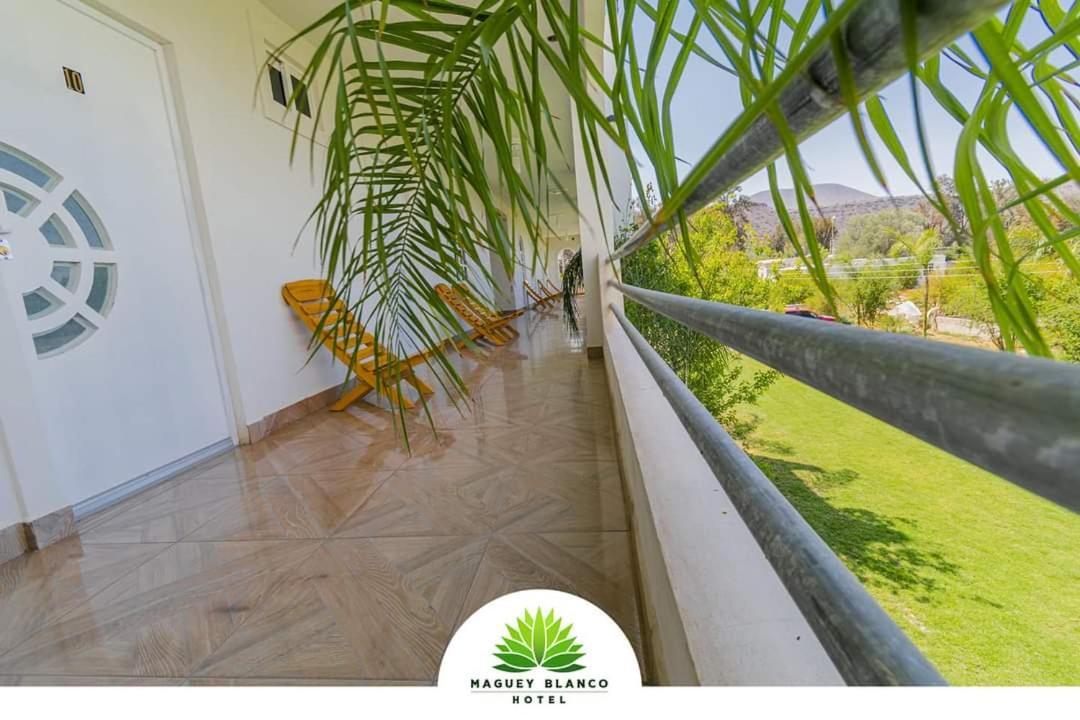 Hotel Maguey Blanco イスミキルパン エクステリア 写真