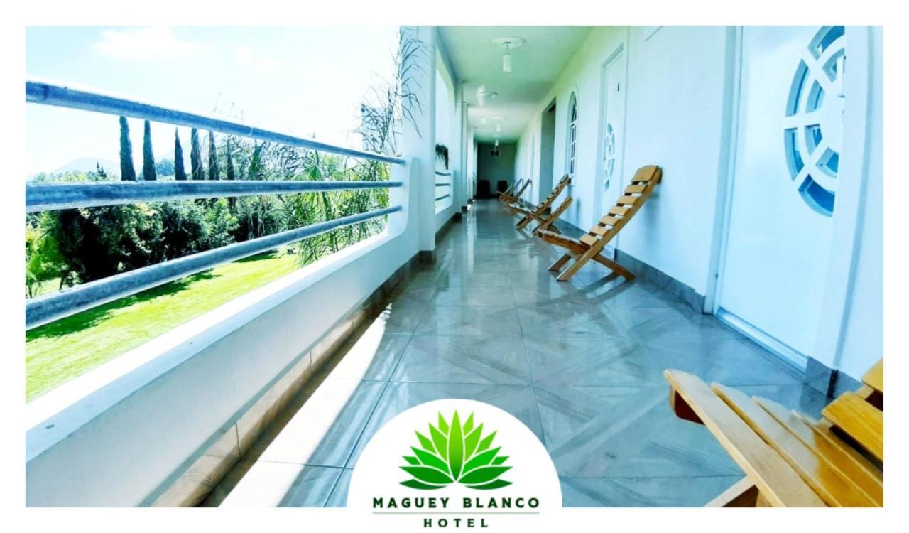 Hotel Maguey Blanco イスミキルパン エクステリア 写真