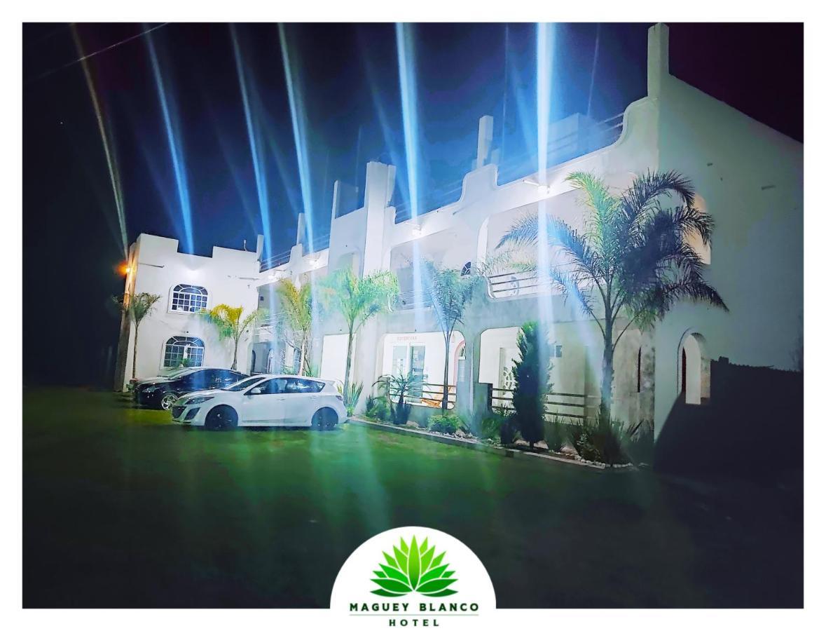 Hotel Maguey Blanco イスミキルパン エクステリア 写真