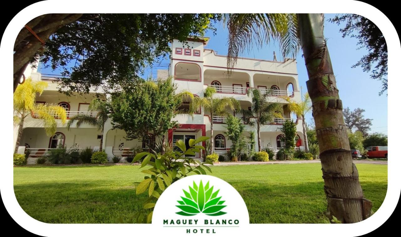 Hotel Maguey Blanco イスミキルパン エクステリア 写真