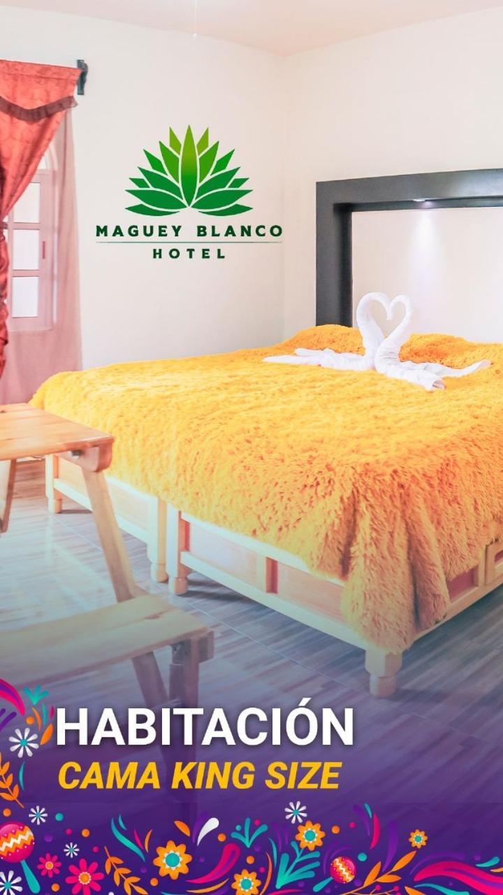 Hotel Maguey Blanco イスミキルパン エクステリア 写真